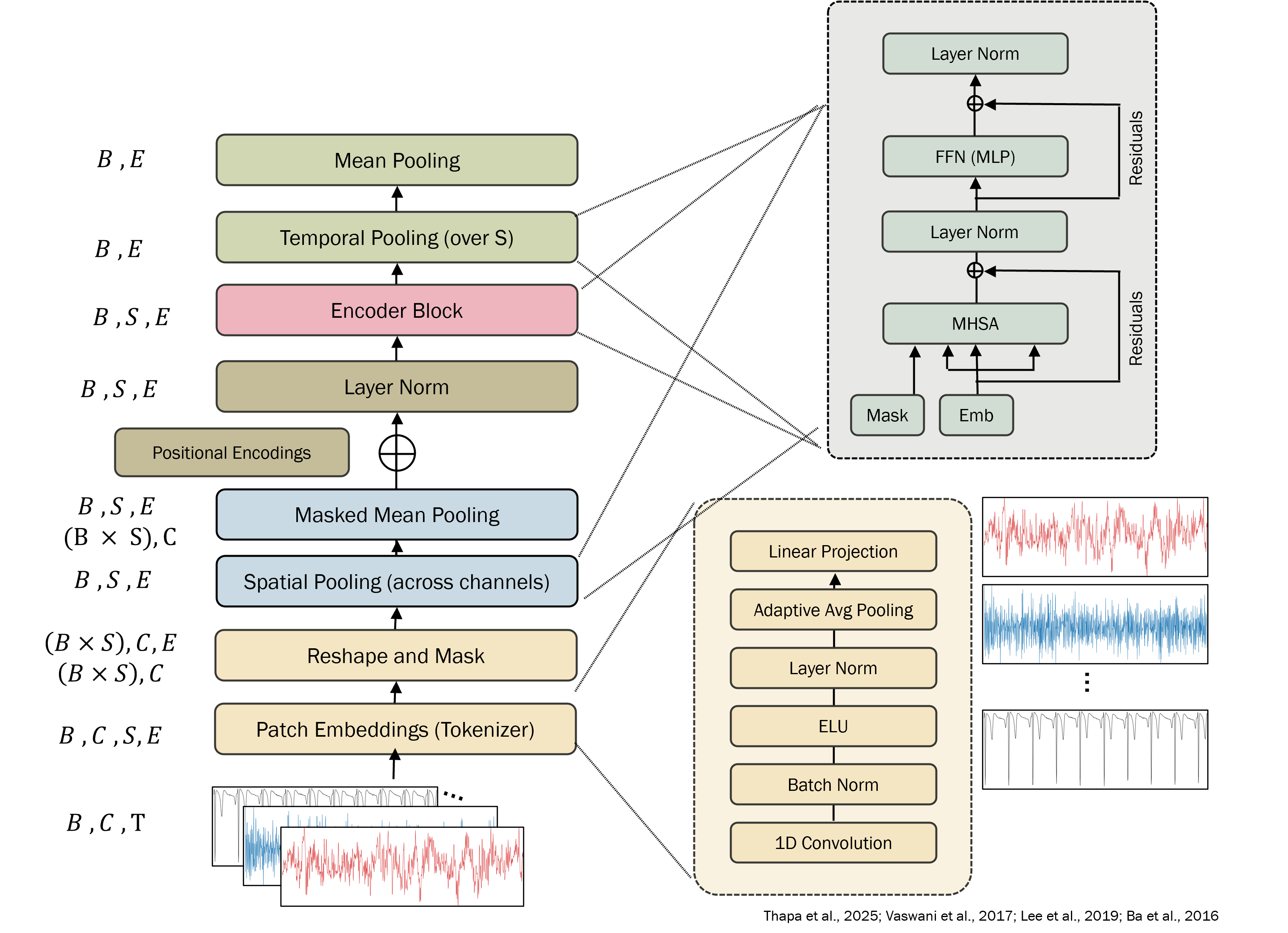 SleepFM architectural overview. Raw multi-channel PSG segments enter at the bottom (B, C, T). A shared 1D convolutional tokenizer (bottom right, expanded) produces patch embeddings (B, C, S, E). A reshape-and-mask step prepares each patch for the channel-set encoder, where spatial pooling across channels and masked mean pooling yield a single fused token per patch (B, S, E). Sinusoidal positional encodings are added along the patch dimension, and the resulting sequence is processed by a temporal Transformer encoder block (top right, expanded: MHSA → LayerNorm → FFN → LayerNorm with residual connections). A final temporal mean pooling yields the epoch-level embedding (B, E) used for both self-supervised pretraining and downstream prediction heads. Architecture from Thapa et al. (2025); attention block follows Vaswani et al. (2017); masked pooling follows Lee et al. (2019); layer normalization follows Ba et al. (2016).