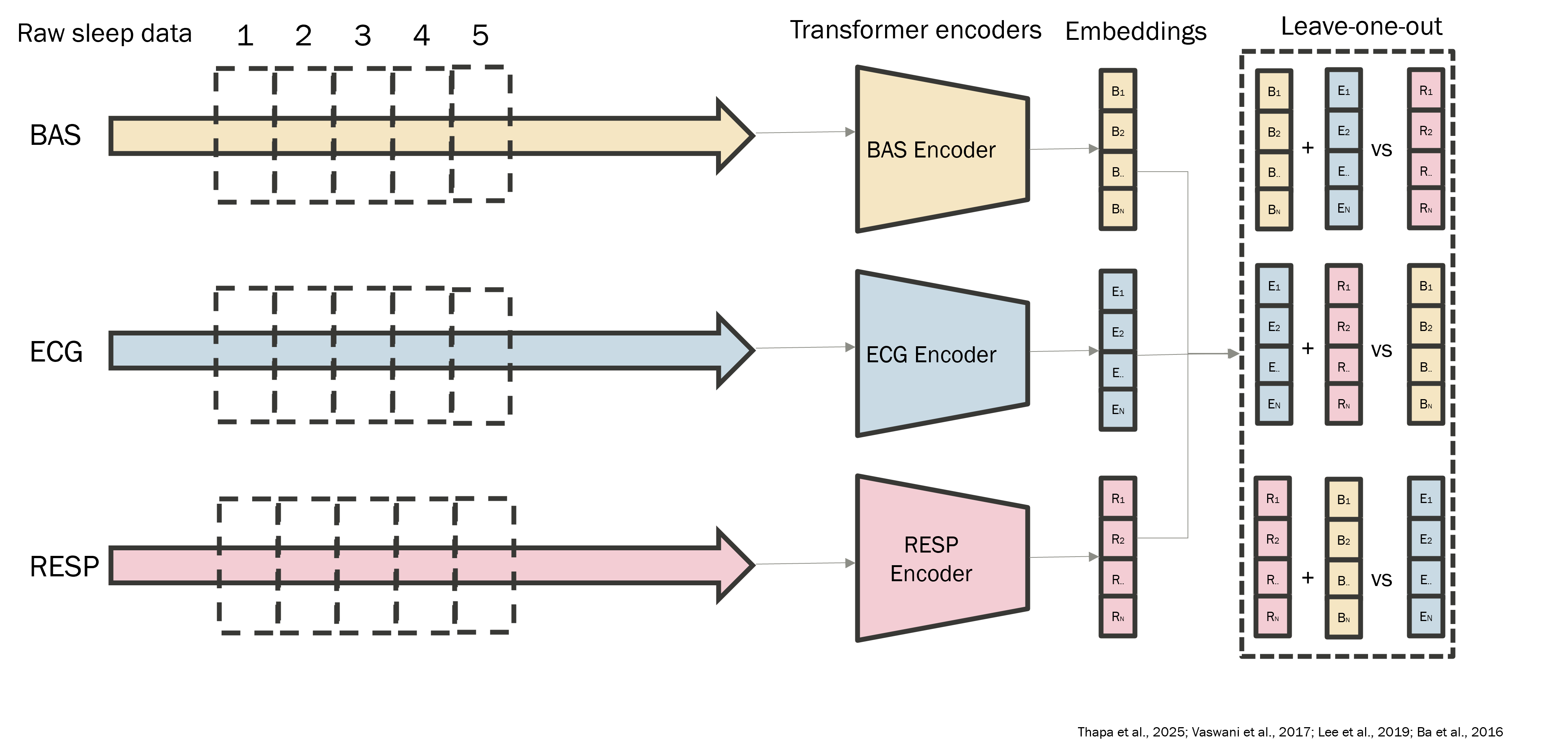 LOOC contrastive learning. Raw PSG signals are split by modality (BAS, ECG, RESP) and passed through modality-specific encoders to produce per-modality embeddings. For each sample, the anchor is one modality's embedding, and the positive is the average of the other modalities' embeddings for the same epoch (leave-one-out). The shared representation is therefore pushed to capture cross-modal consistency. Diagram from Thapa et al. (2025).
