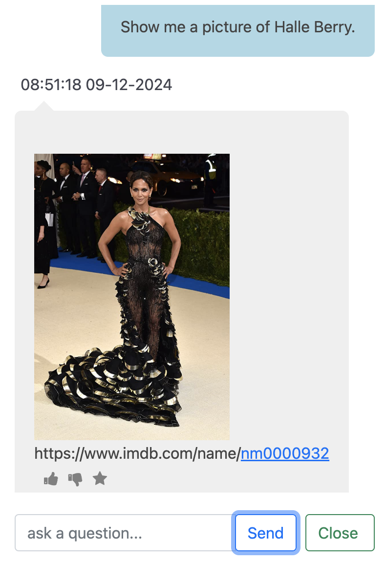 Halle Berry multimedia chat
